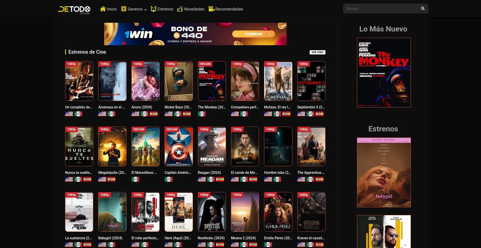 Website screenshot of Detodopeliculas.nu
