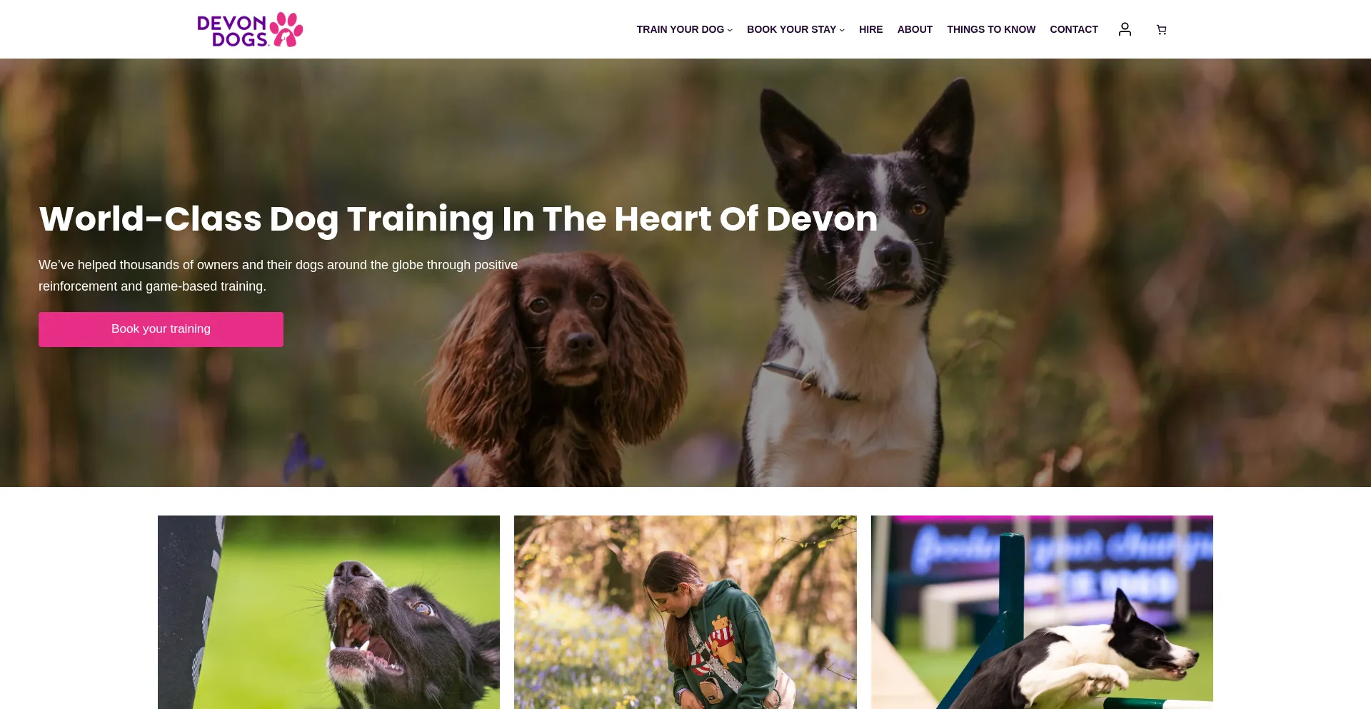 Devondogs.co.uk