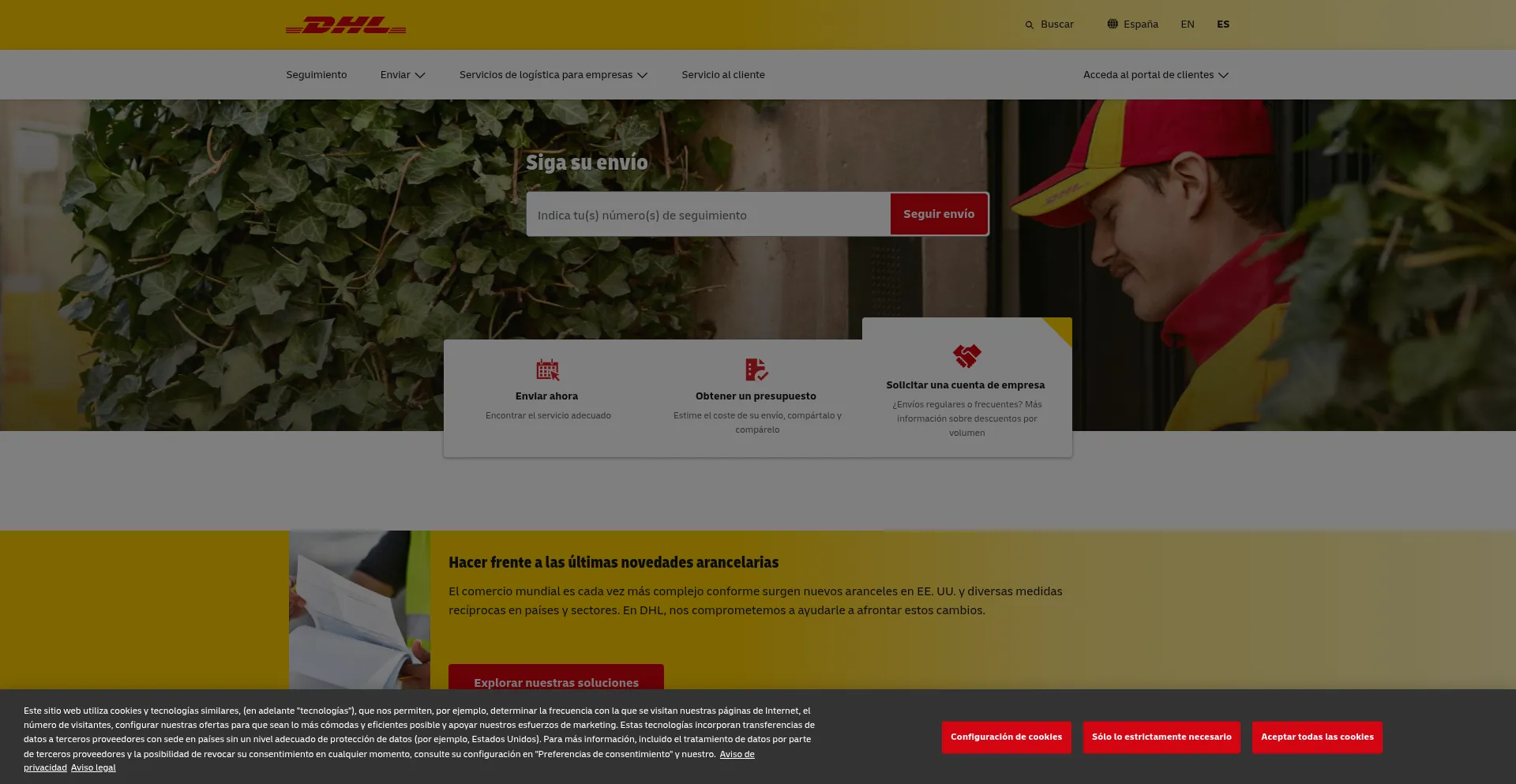 Website screenshot of Dhles.vip