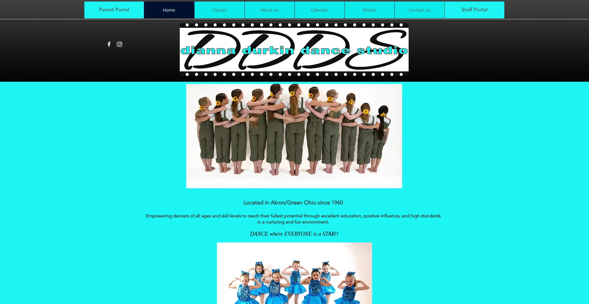 Website screenshot of Diannadurkindance.com