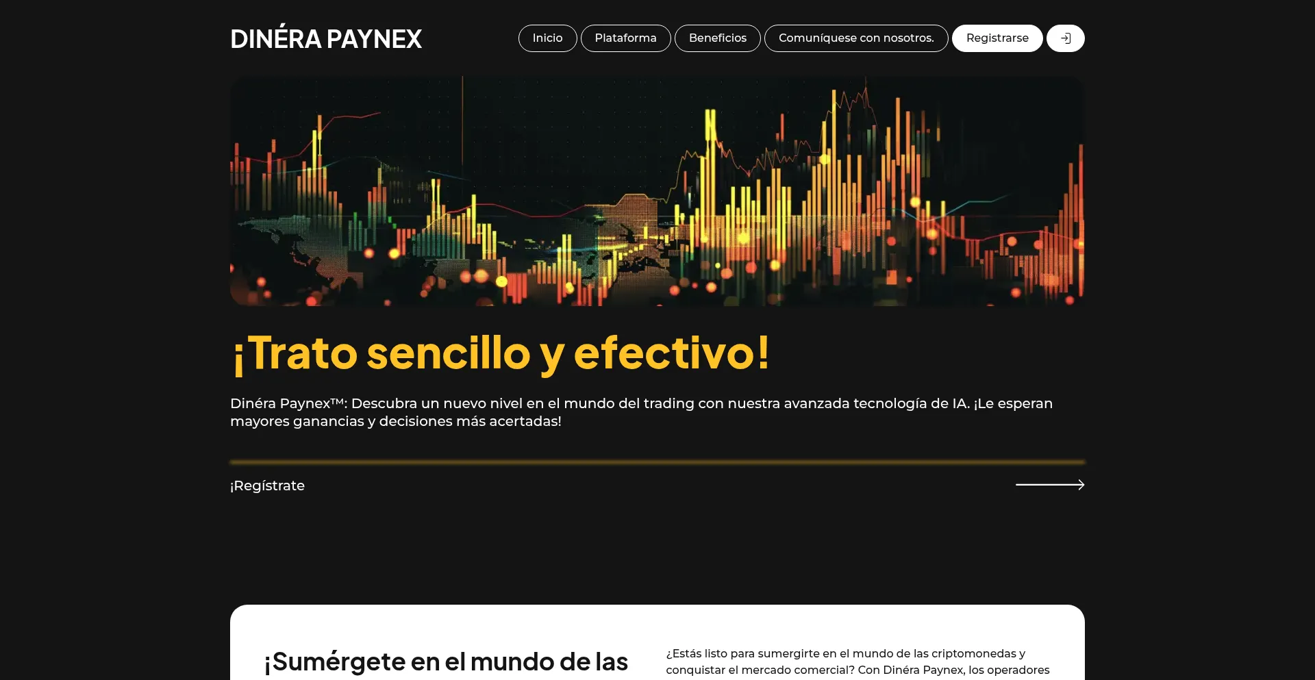 Website screenshot of Dinerapaynex.com