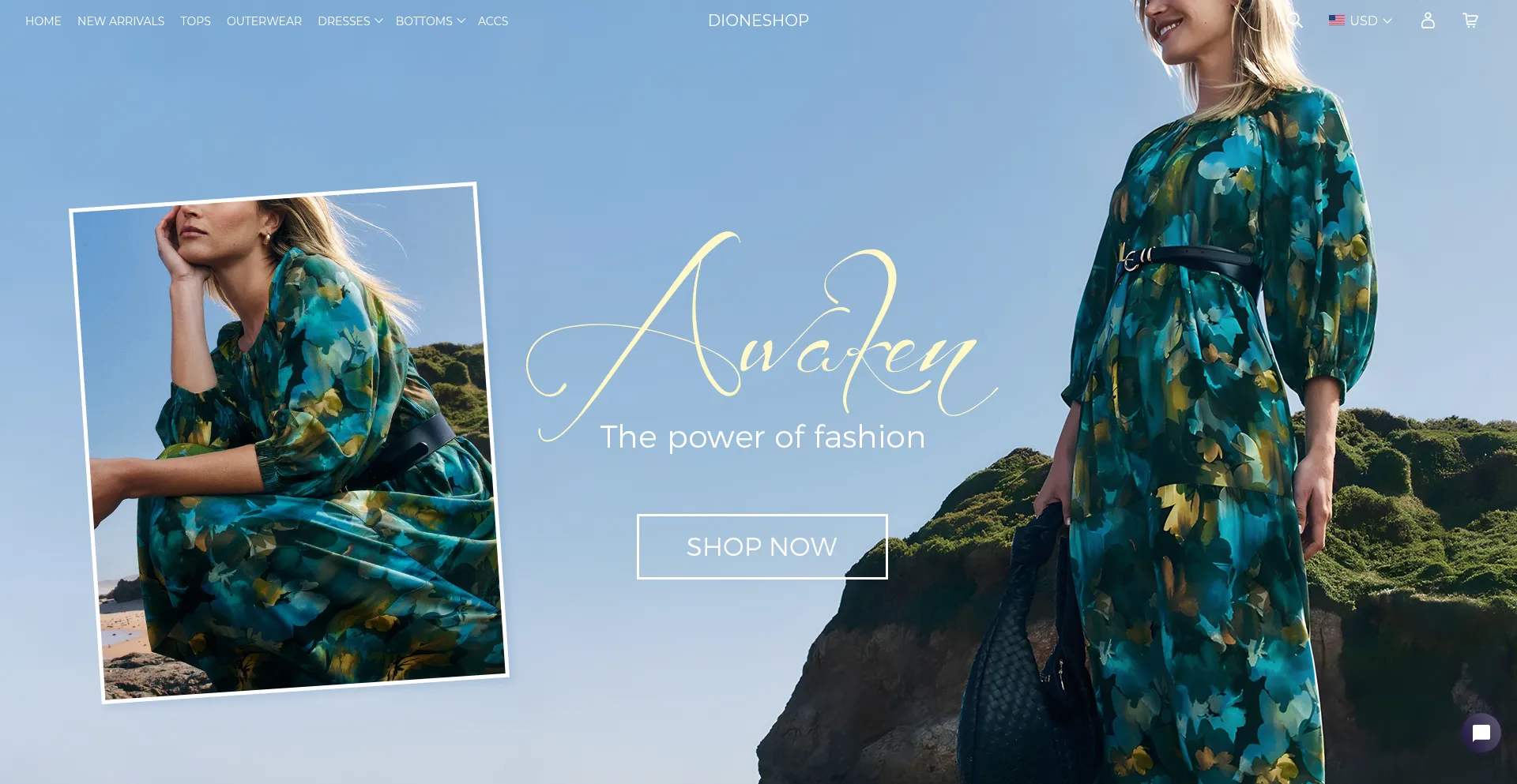 Website screenshot of Dioneshop.com
