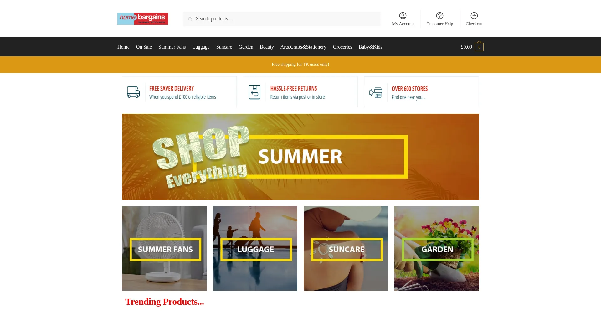 Website screenshot of Dionlinestore.shop