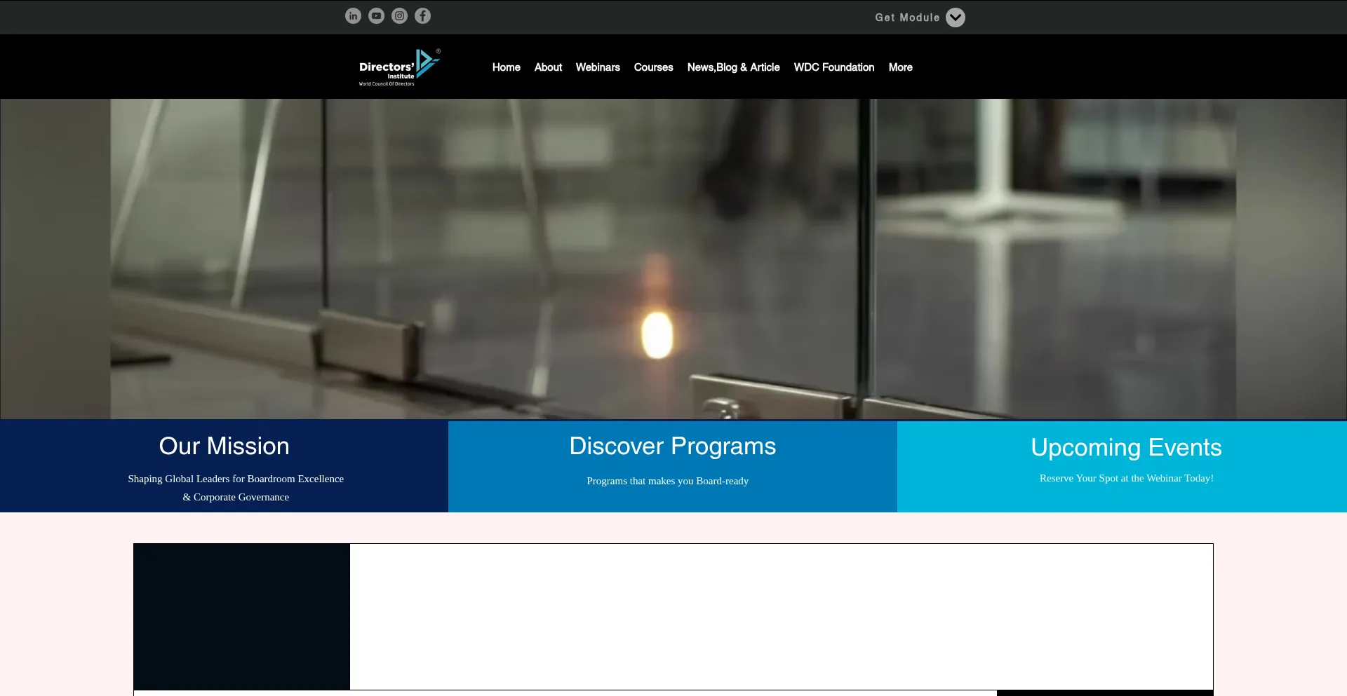 Directors-institute.com é Seguro e Confiável?