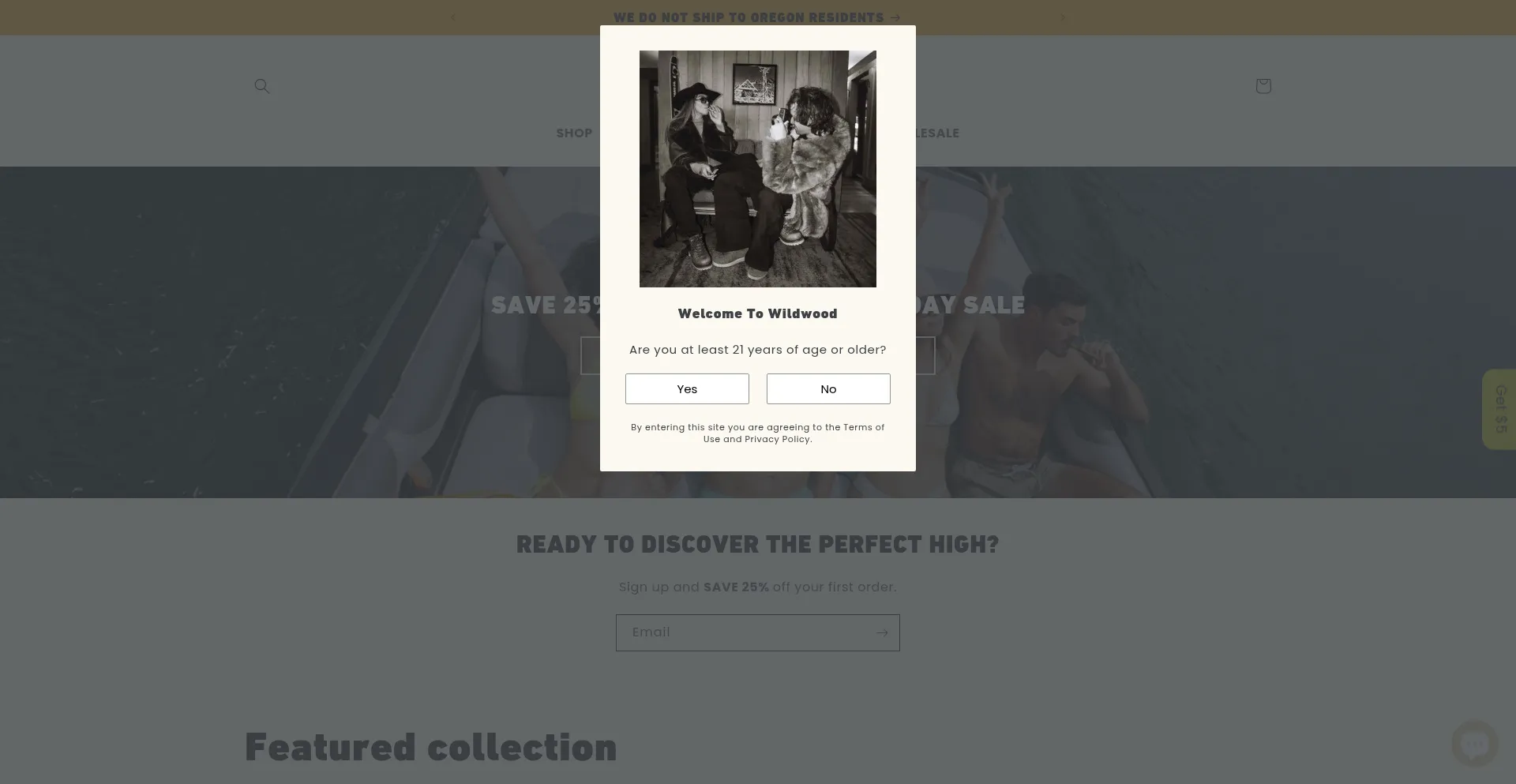 Website screenshot of Discoverwildwood.com