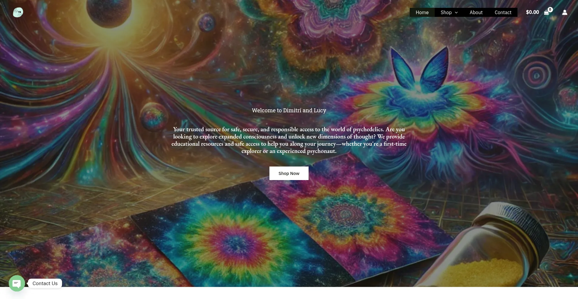 Website screenshot of Dmtbloom.com