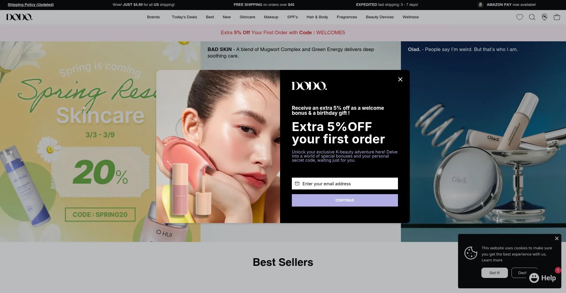 Website screenshot of Dodoskin.com
