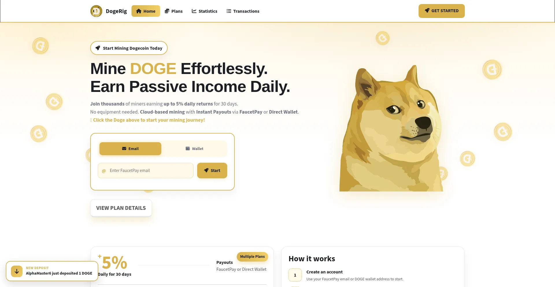 Dogerig.com
