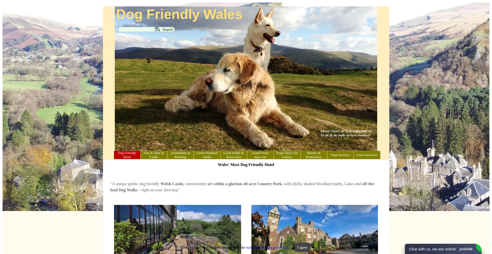 Dogfriendlywales.com Screenshot
