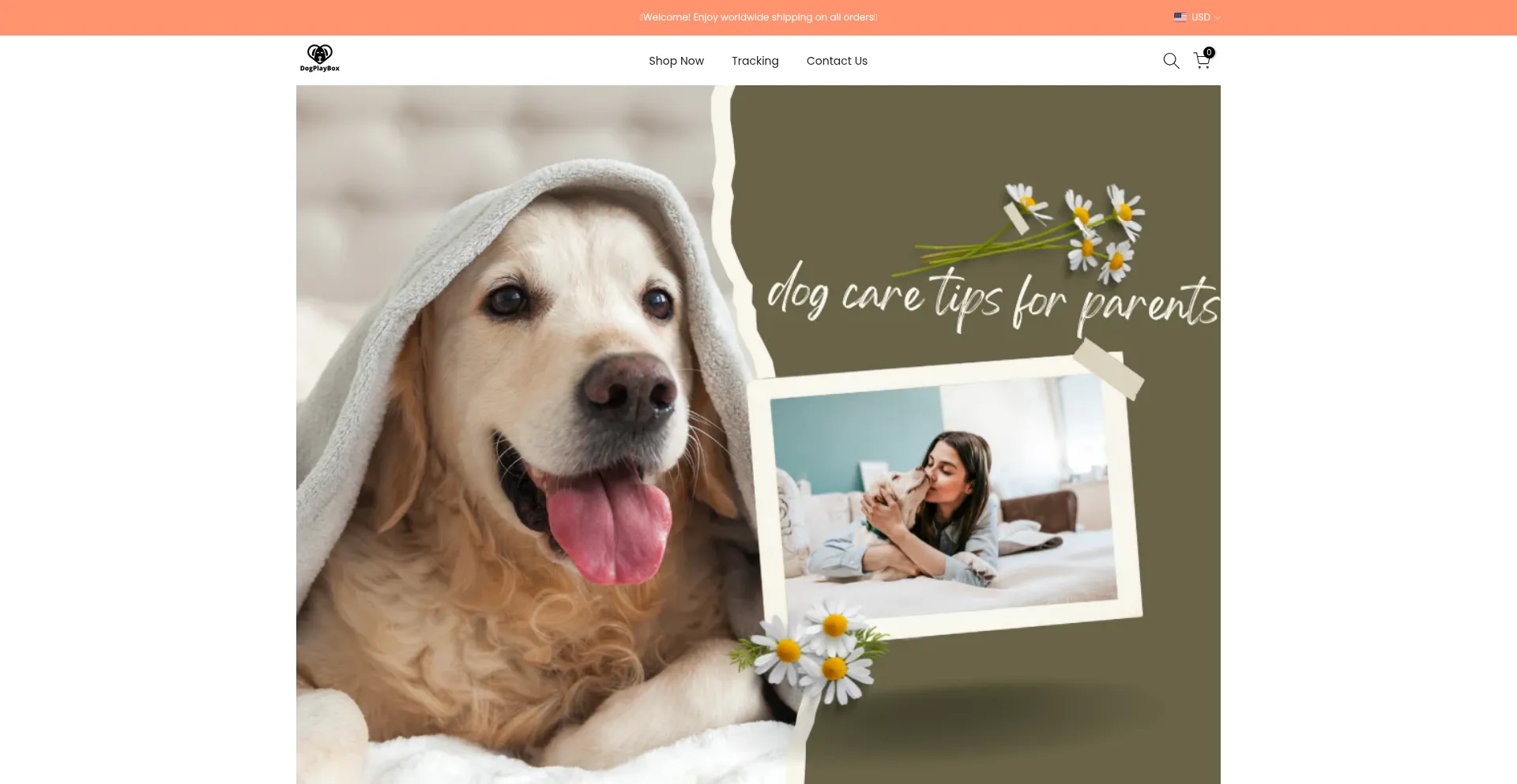 Website screenshot of Dogplaybox.com