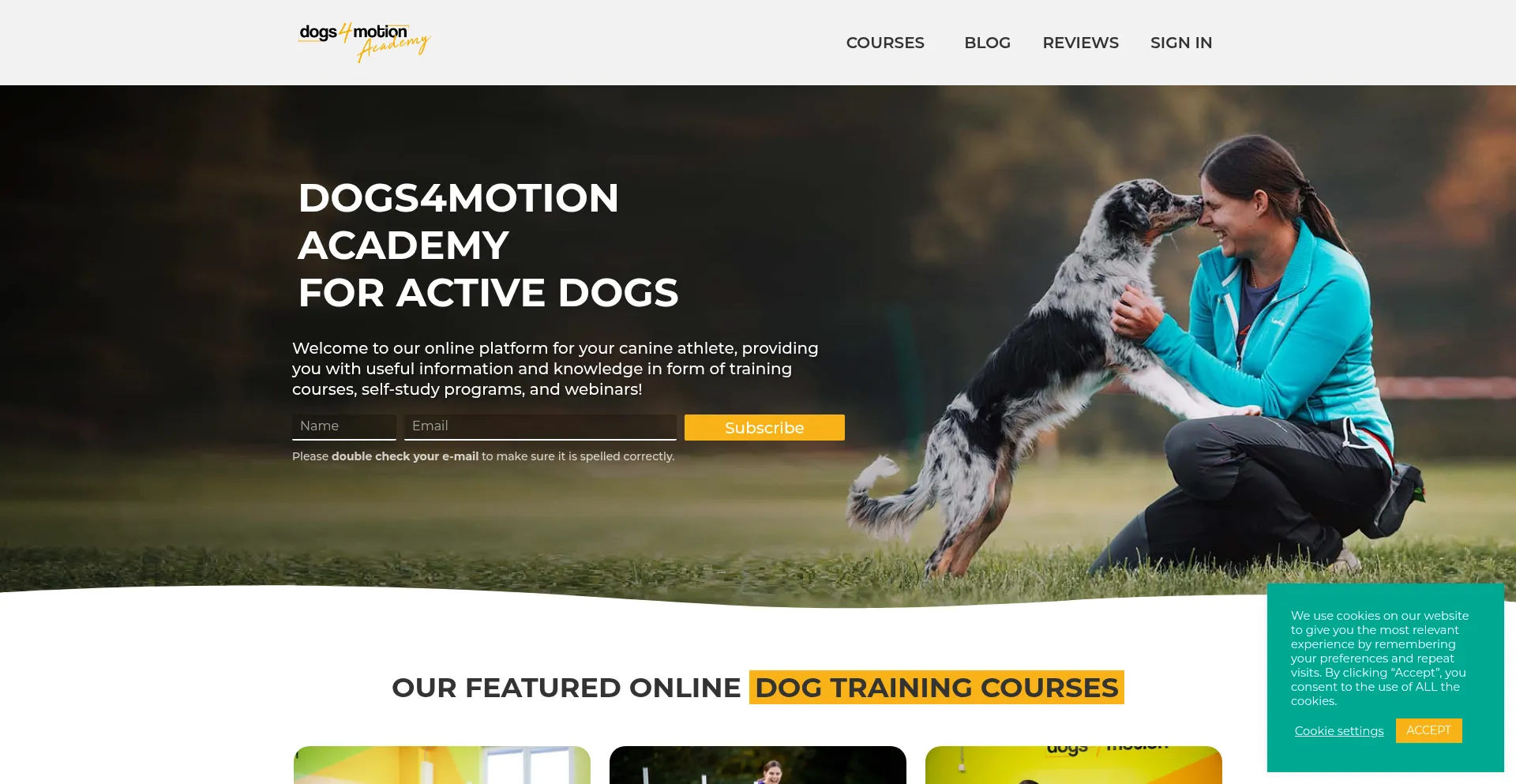 Website screenshot of Dogs4motionacademy.com