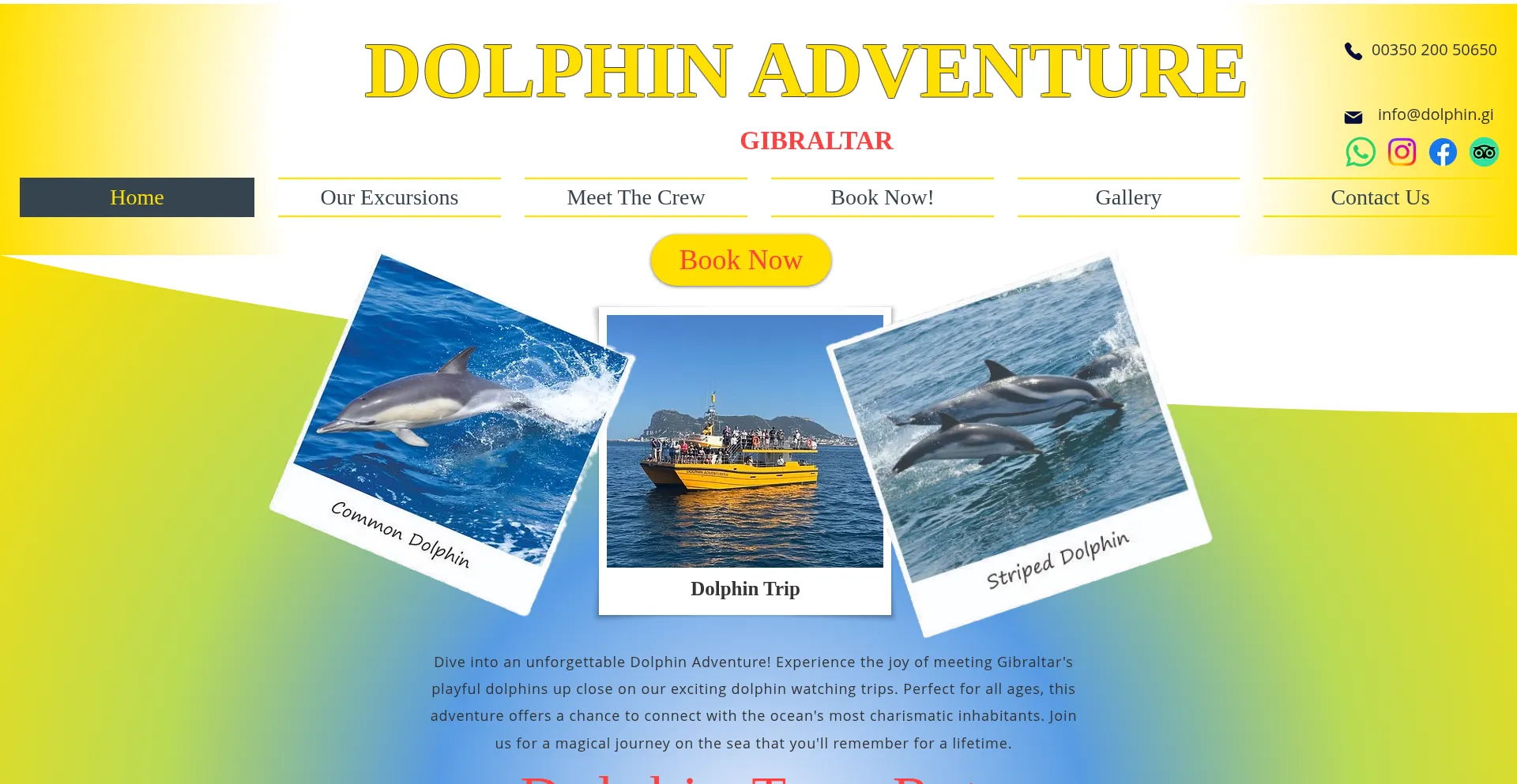Dolphin.gi