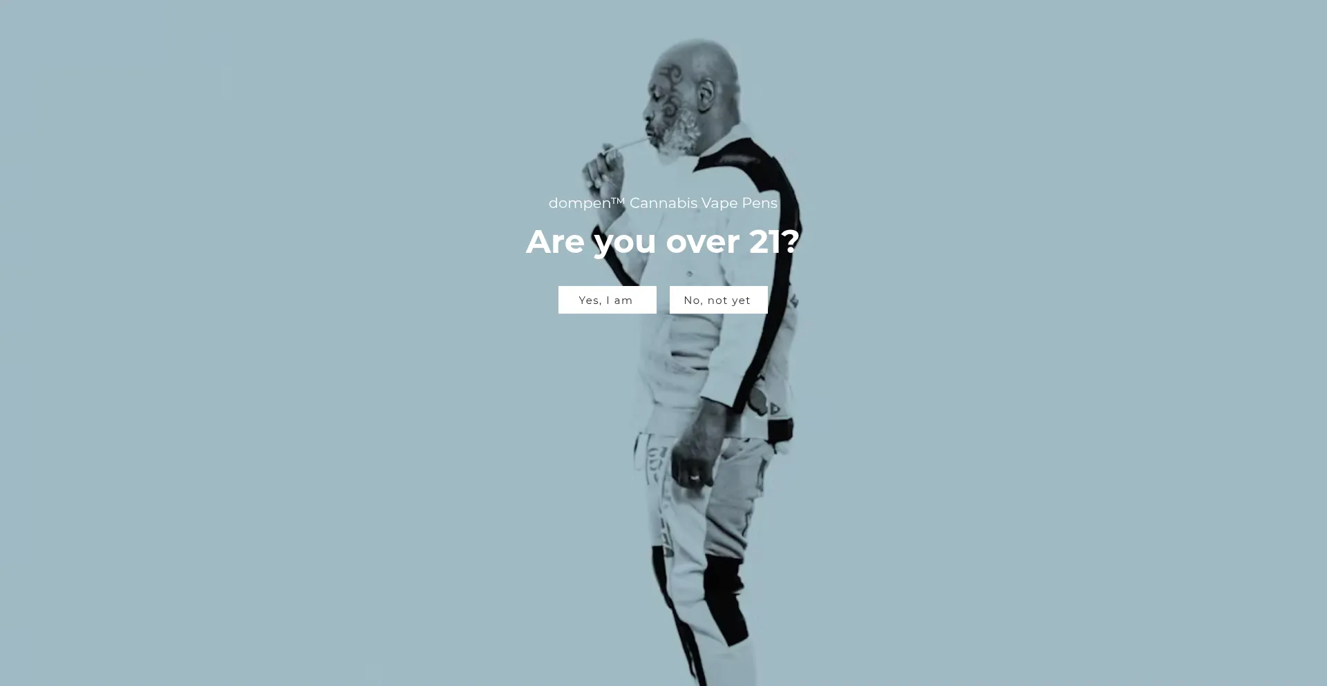 Website screenshot of Dompen.co