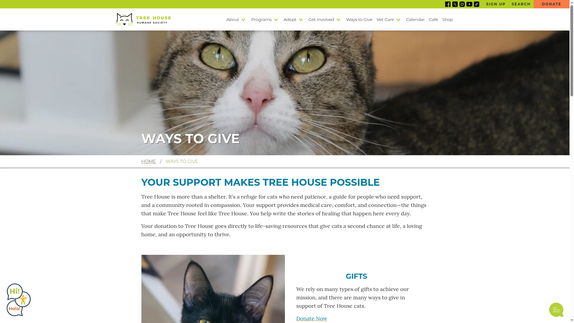 Donate.treehouseanimals.org