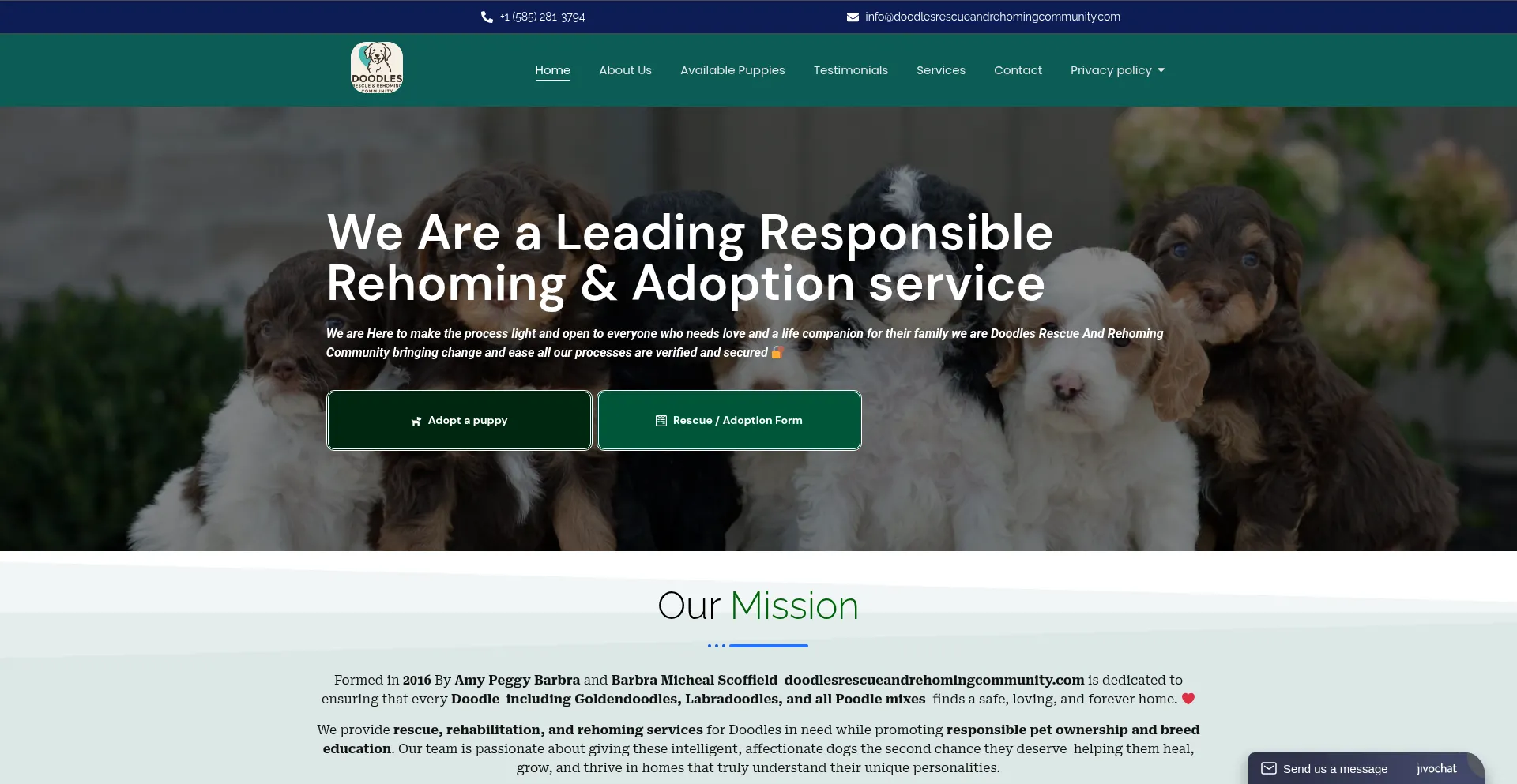 Doodlesrescueandrehomingcommunity.com