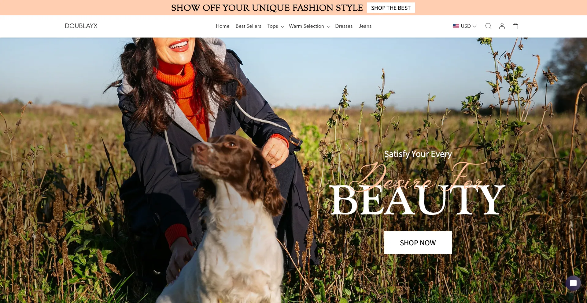 Website screenshot of Doublayx.com