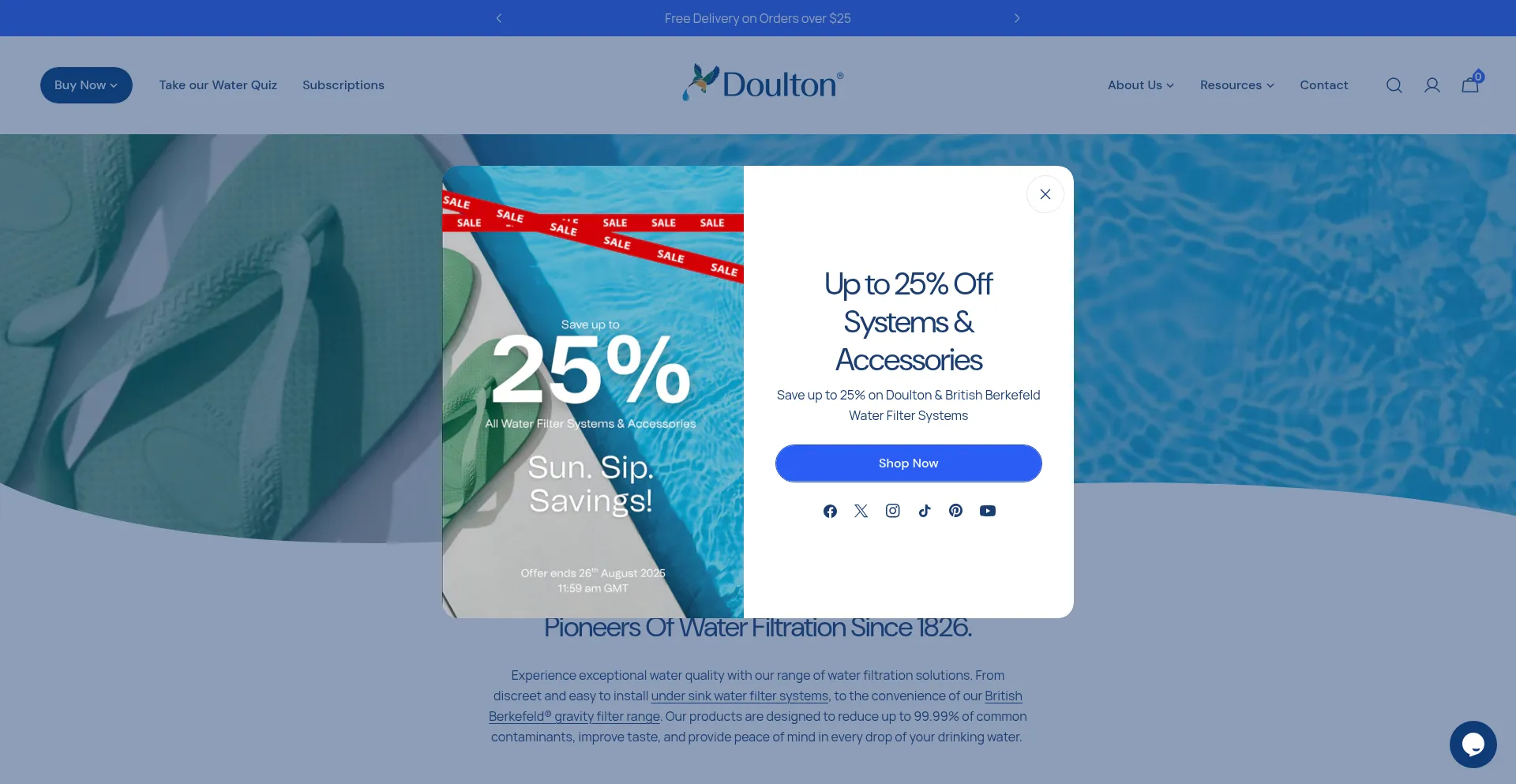 Website screenshot of Doulton.com