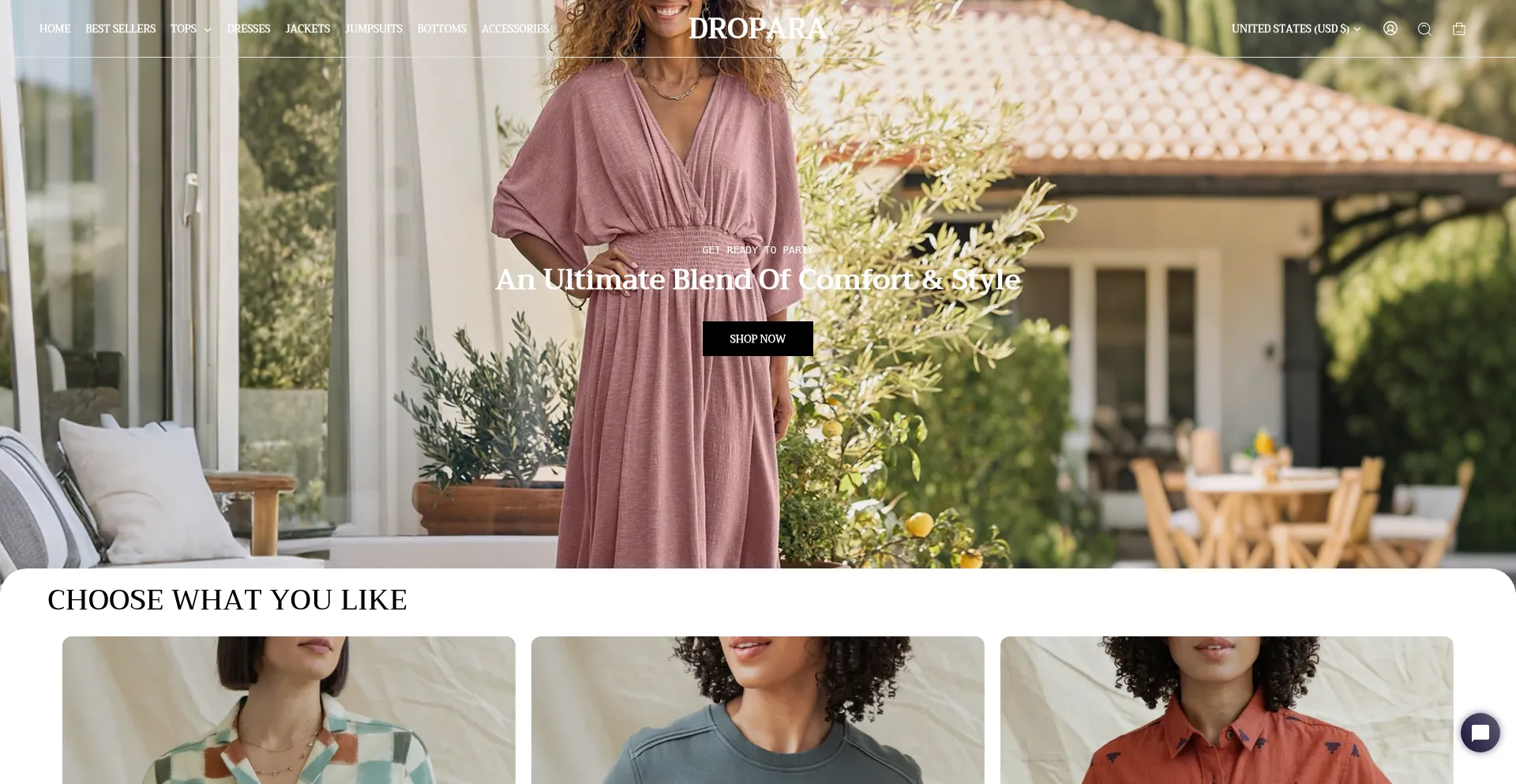 Website screenshot of Dropara.com