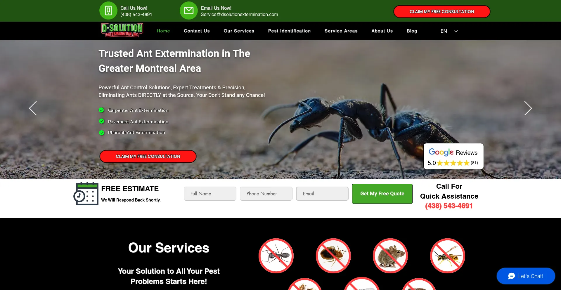 Website screenshot of Dsolutionextermination.com