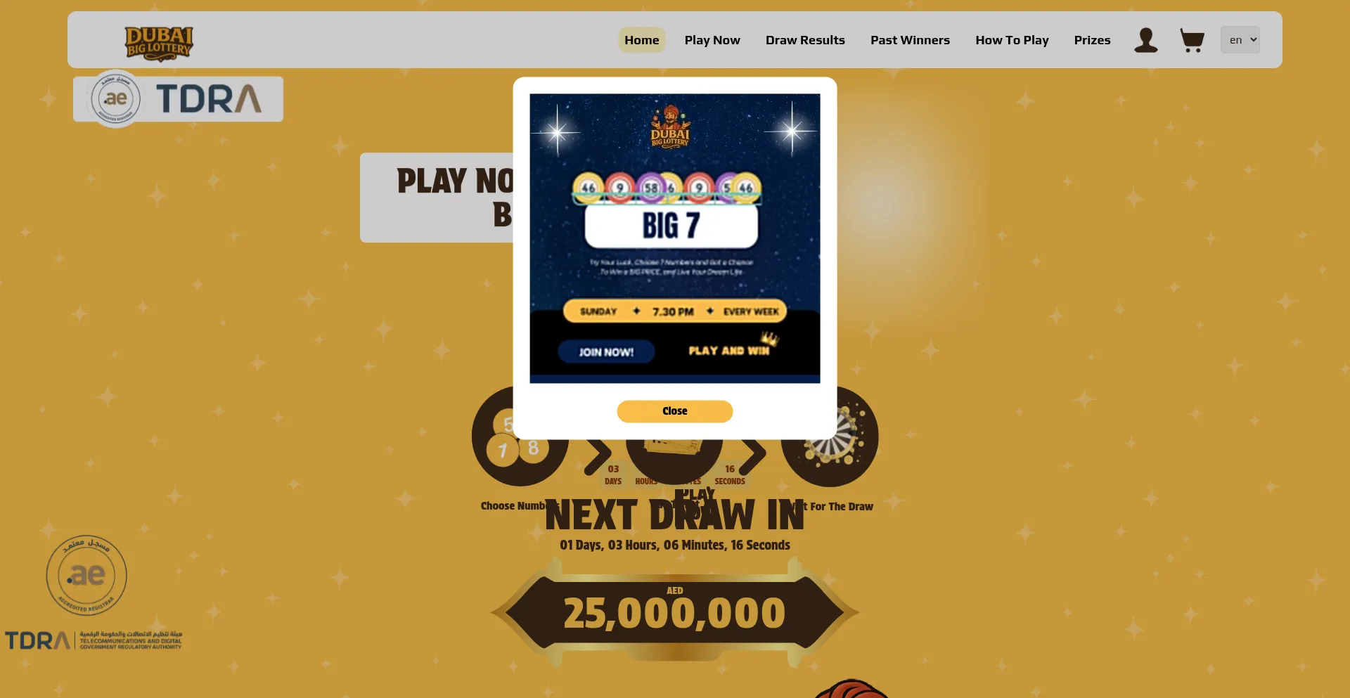 Website screenshot of Dubaibiglottery.com