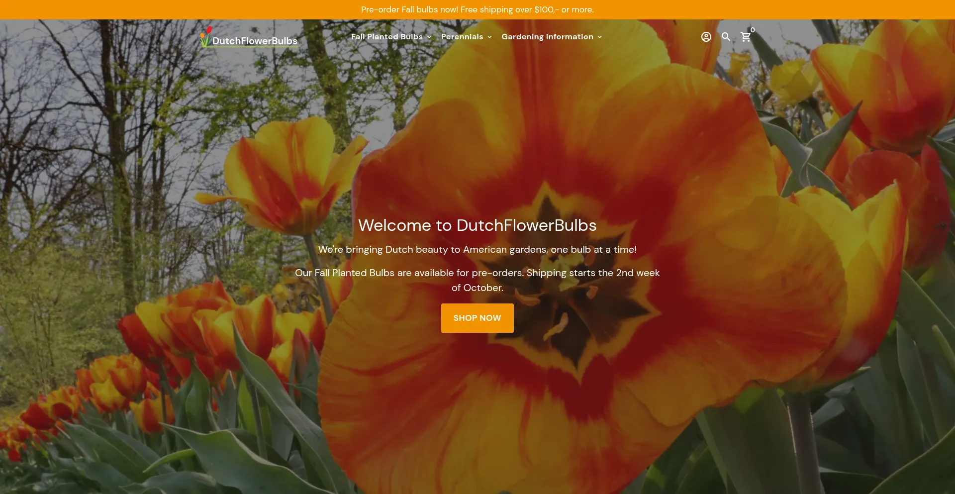 Website screenshot of Dutchflowerbulbs.com