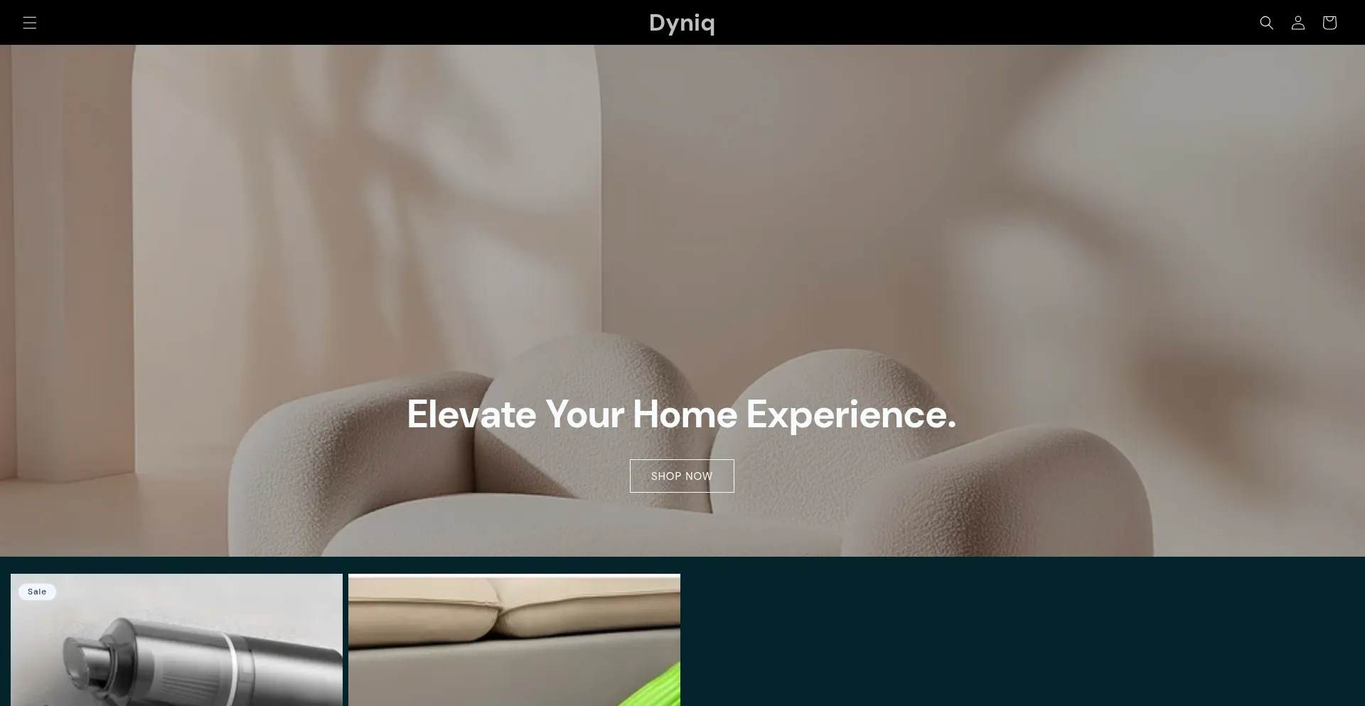 Website screenshot of Dyniq.store