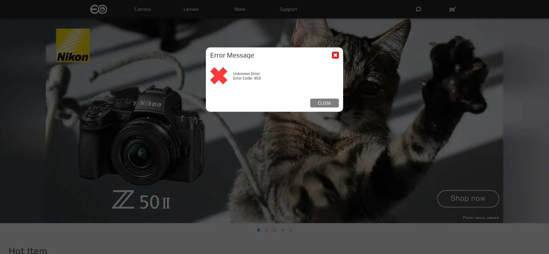 Website screenshot of E-infin.com