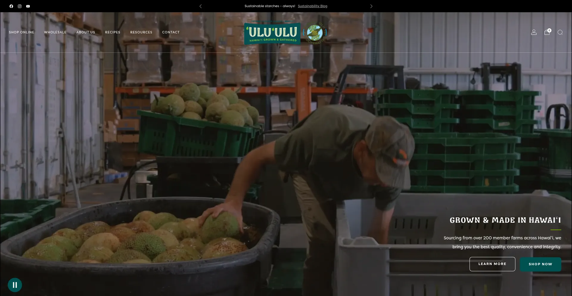 Eatbreadfruit.com
