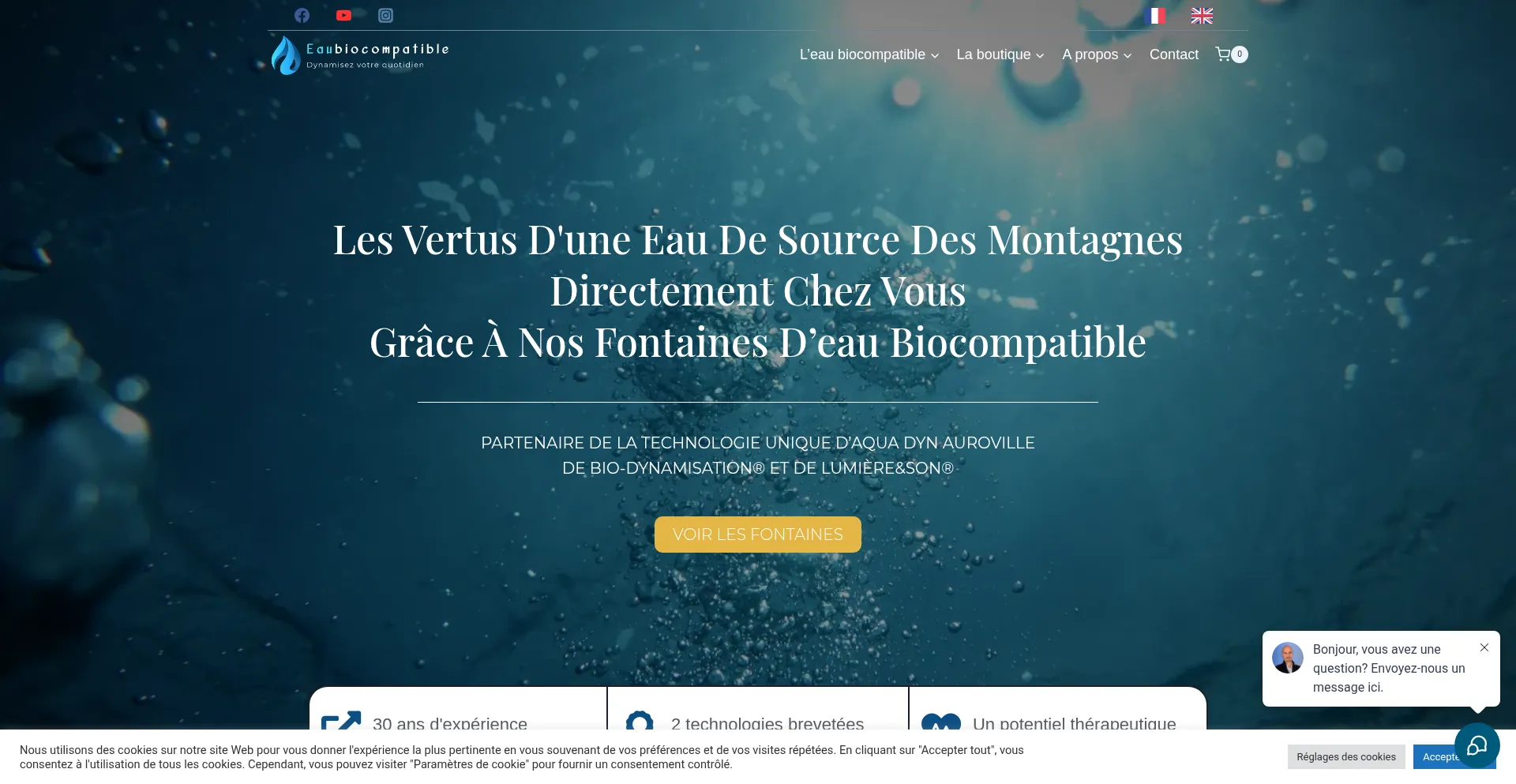 Website screenshot of Eaubiocompatible.com