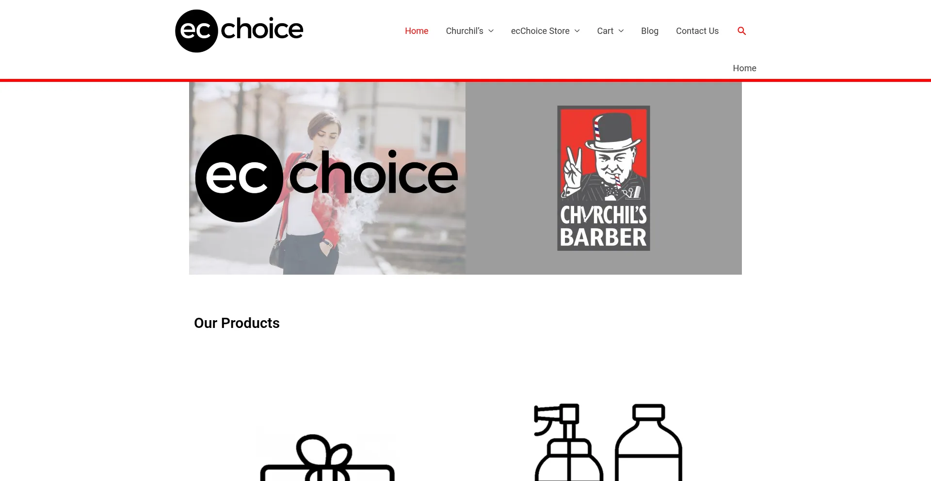 Website screenshot of Ecchoice.com.au