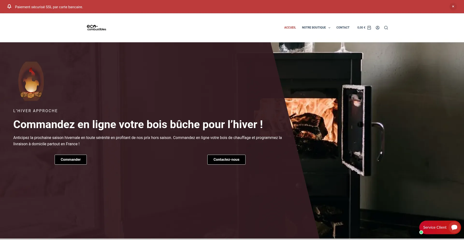 Website screenshot of Eco-combustibles.com