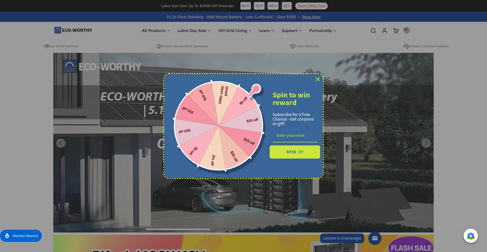 Website screenshot of Eco-worthy.com