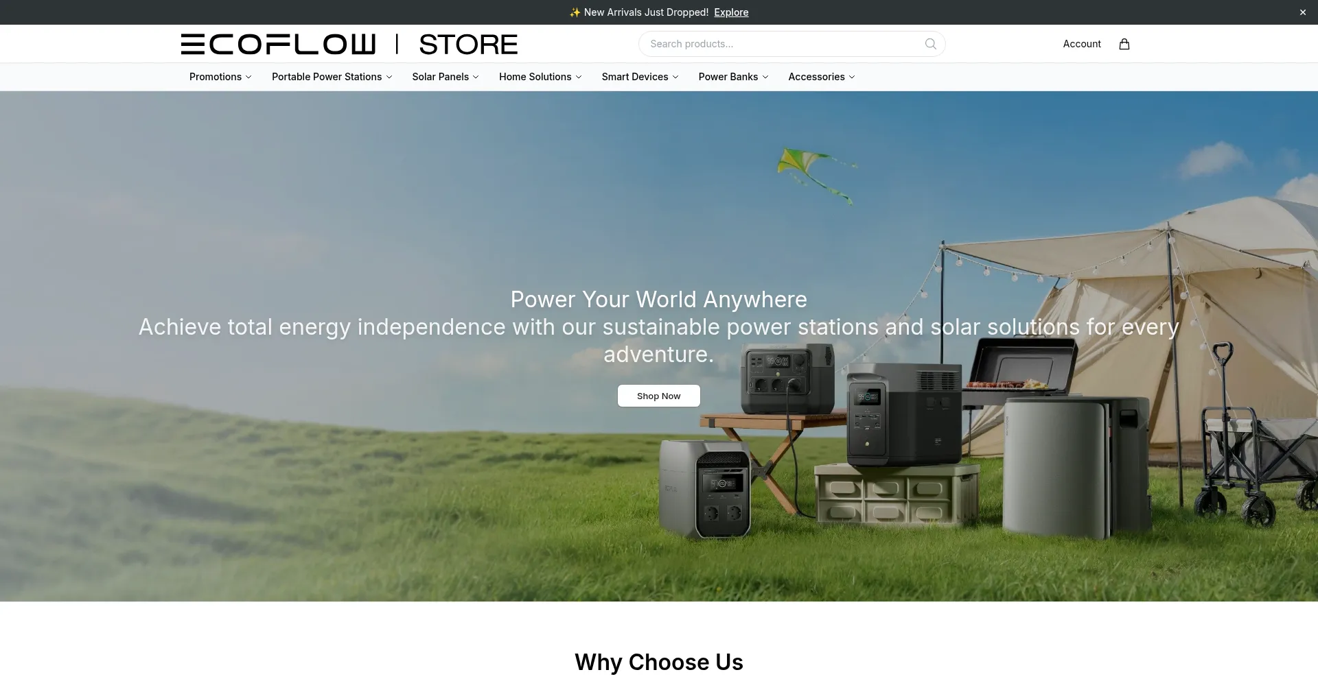 Ecoflowtech.shop
