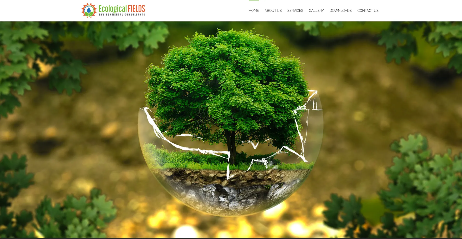 Ecologicalfields.co.za é Seguro e Confiável?