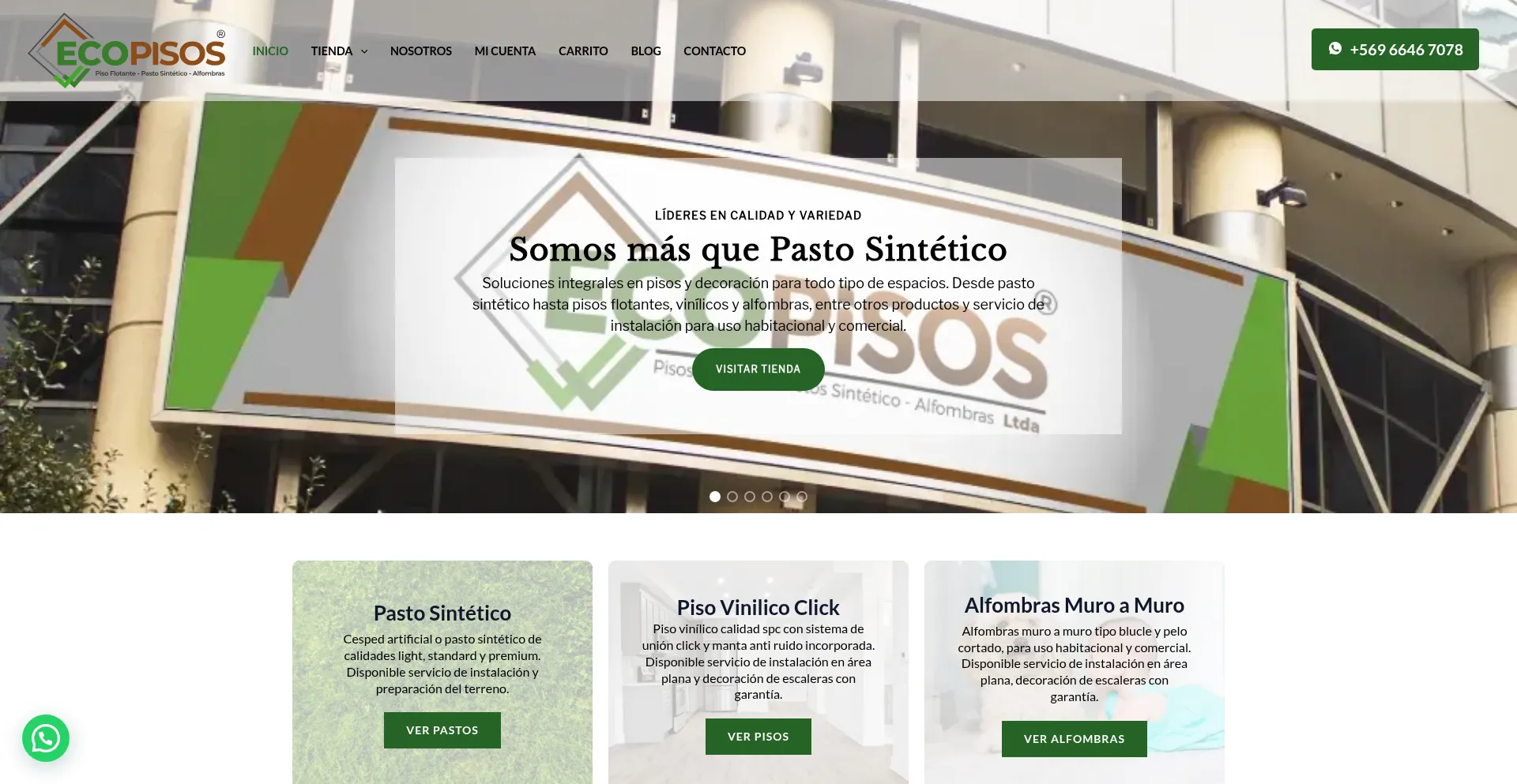 Ecopisosltda.cl é Seguro e Confiável?