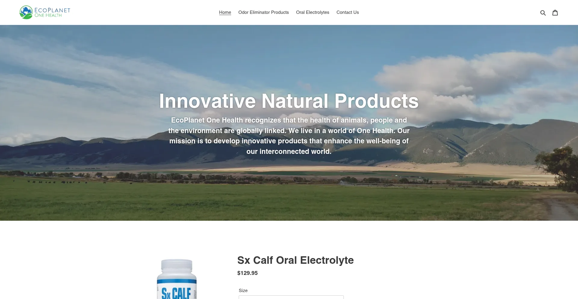 Website screenshot of Ecoplanetonehealth.com