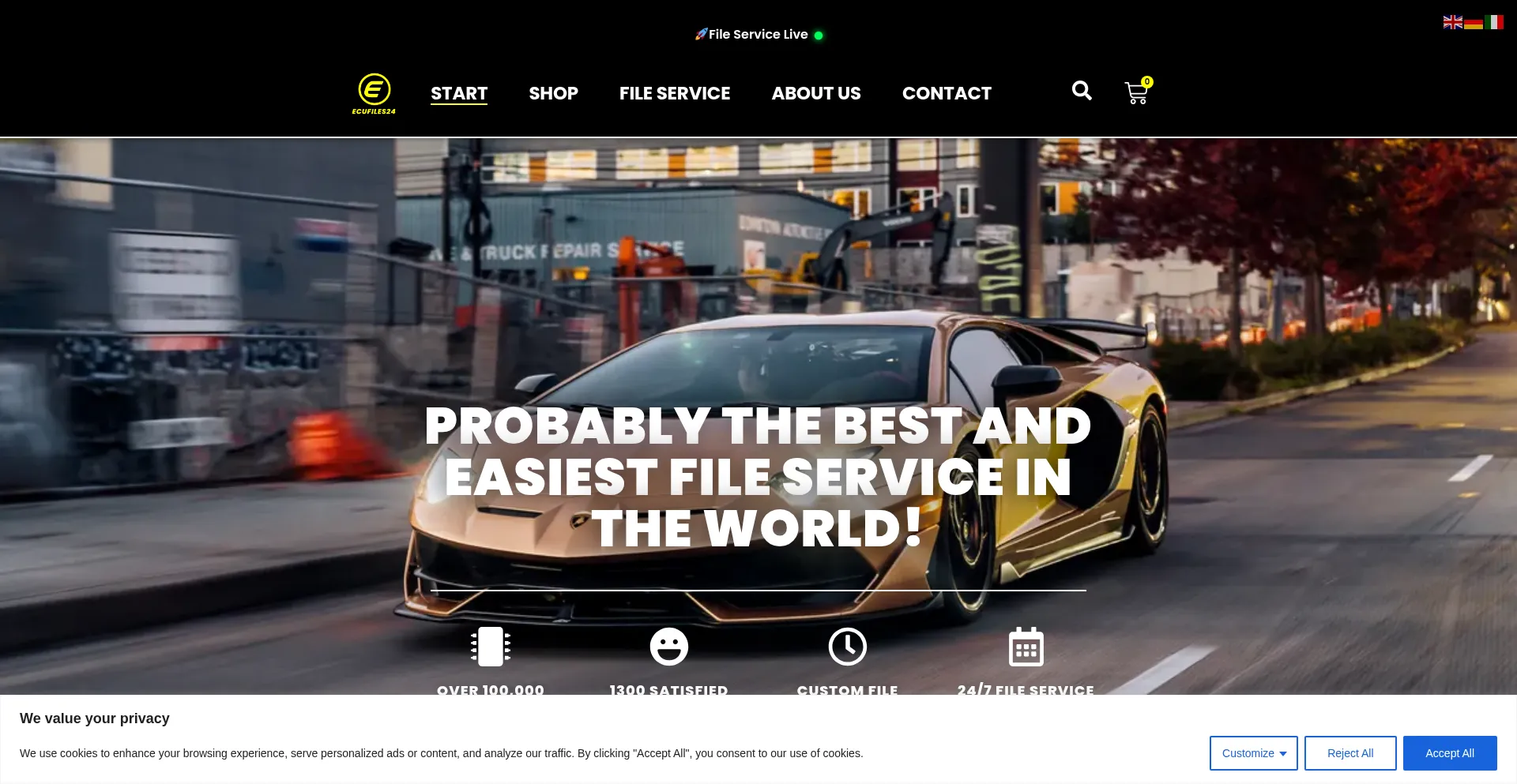 Website screenshot of Ecufiles24.de