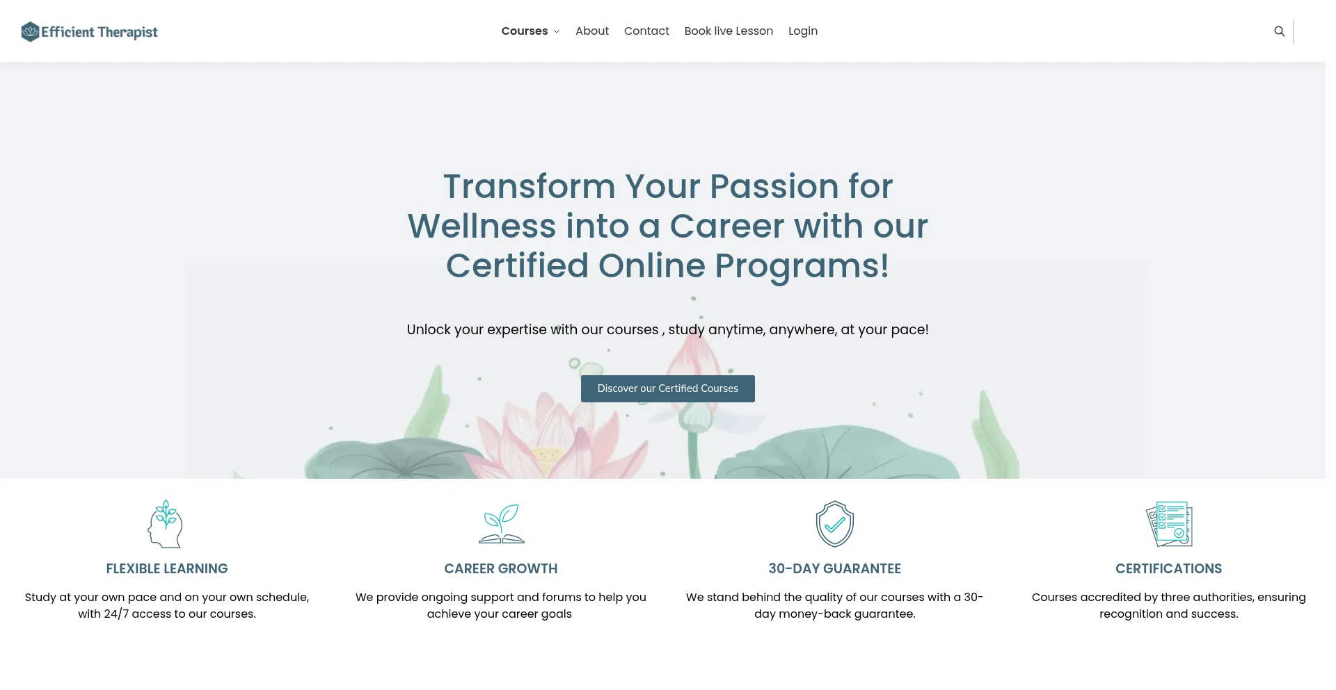 Website screenshot of Efficientherapist.com