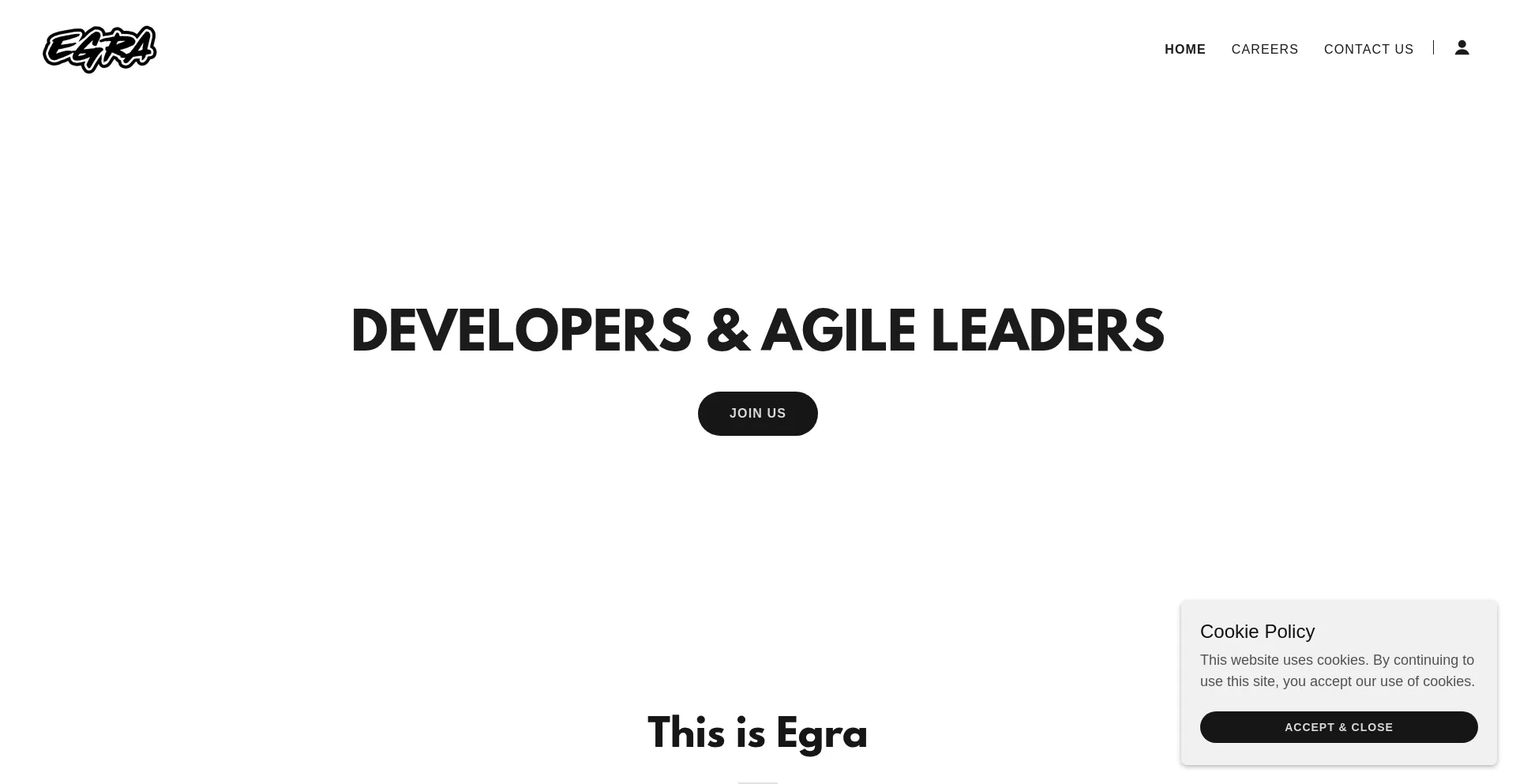 Website screenshot of Egra.com