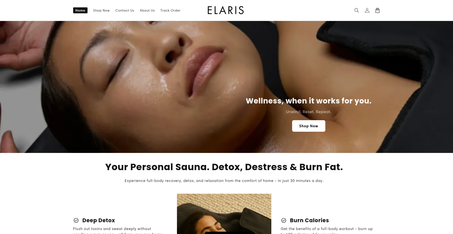 Website screenshot of Elarisbody.com