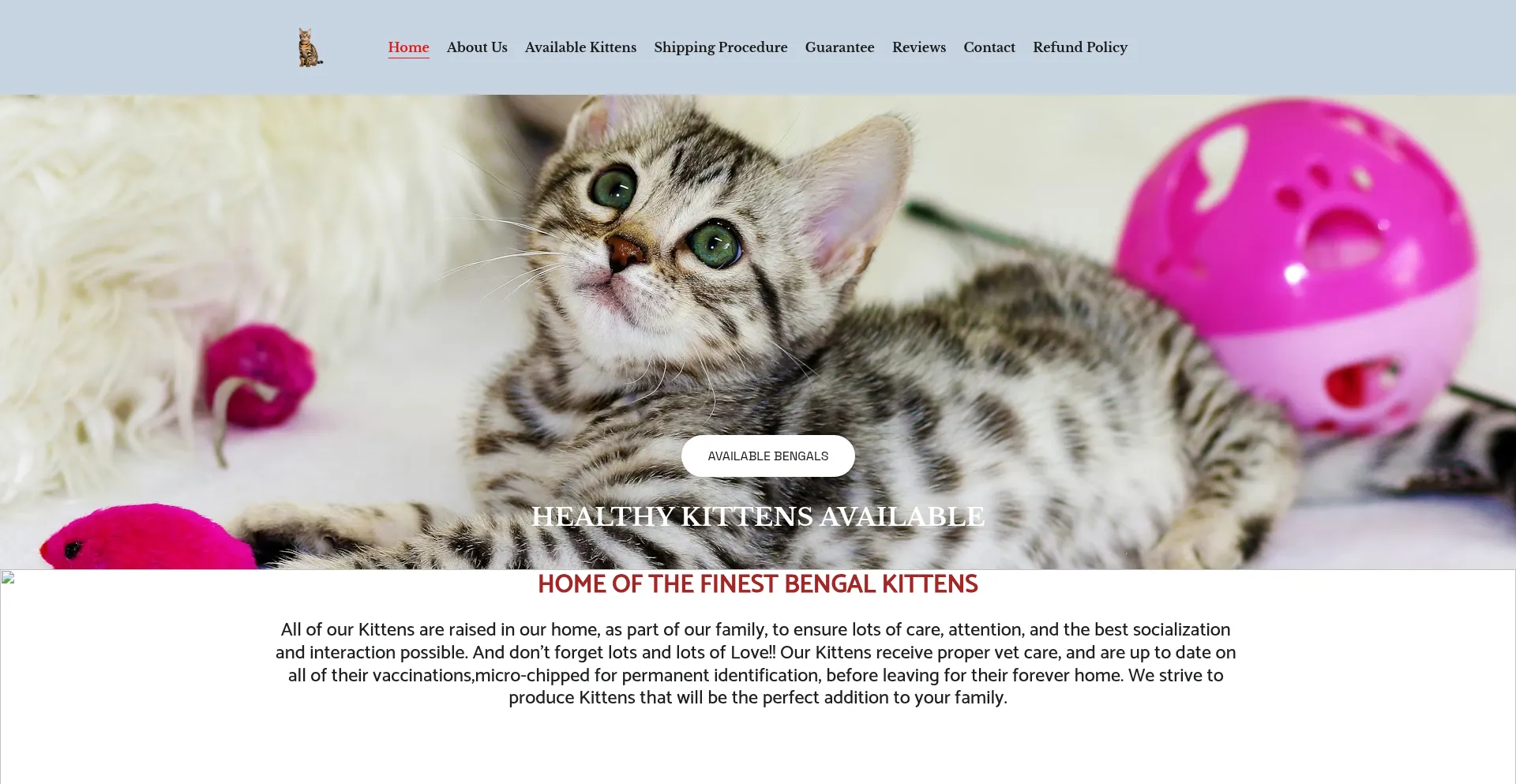 Elitebengalkittens.com