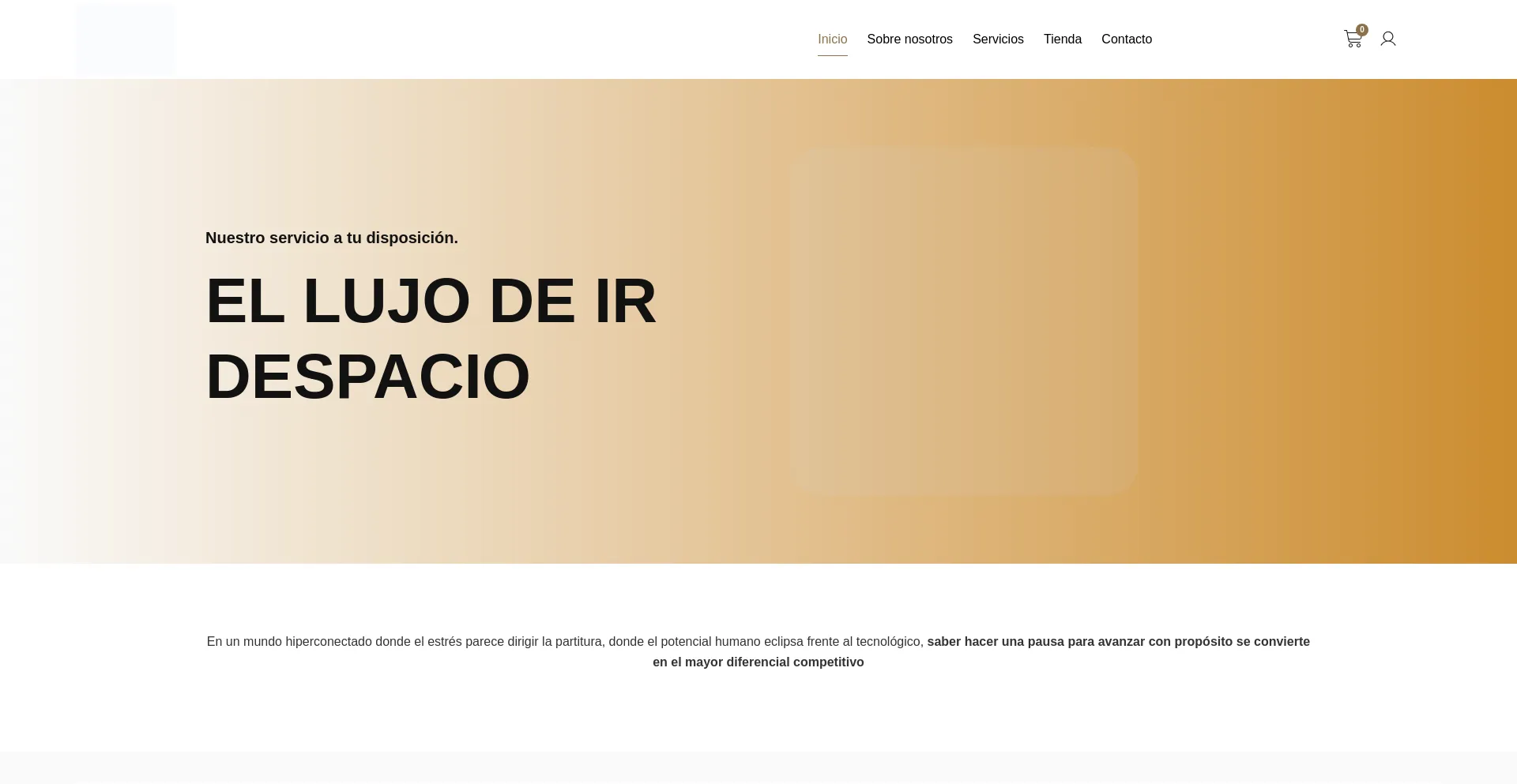 Website screenshot of Ellujodeirdespacio.com