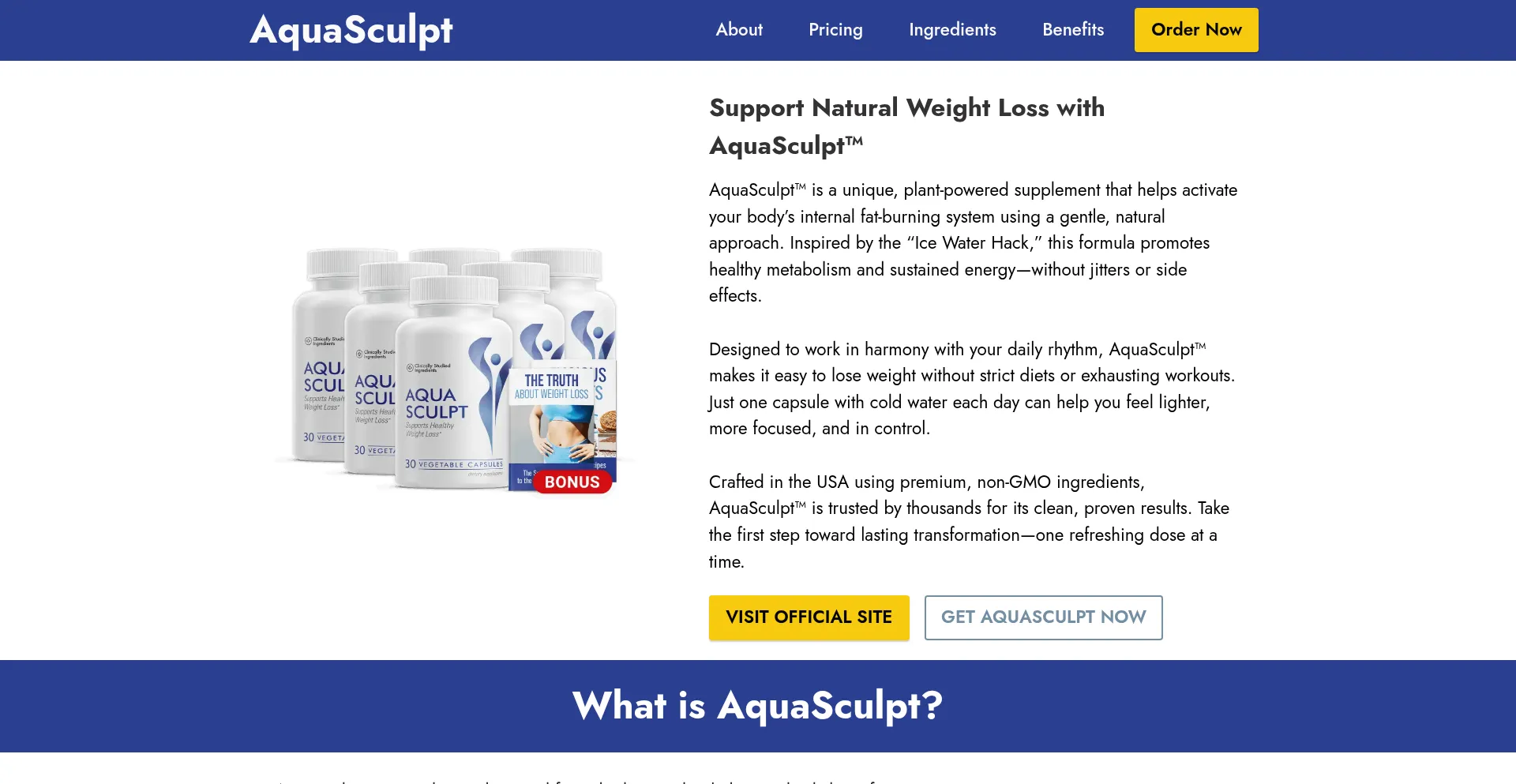 En-aquascelpt.com é Seguro e Confiável?