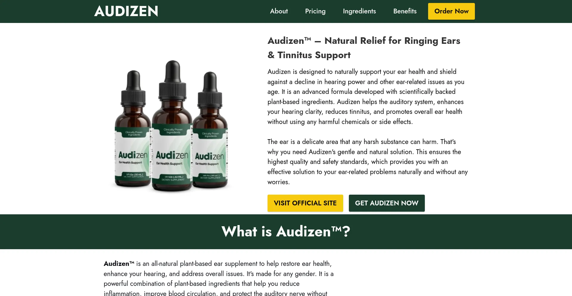 Website screenshot of En-en-en-audizen.com