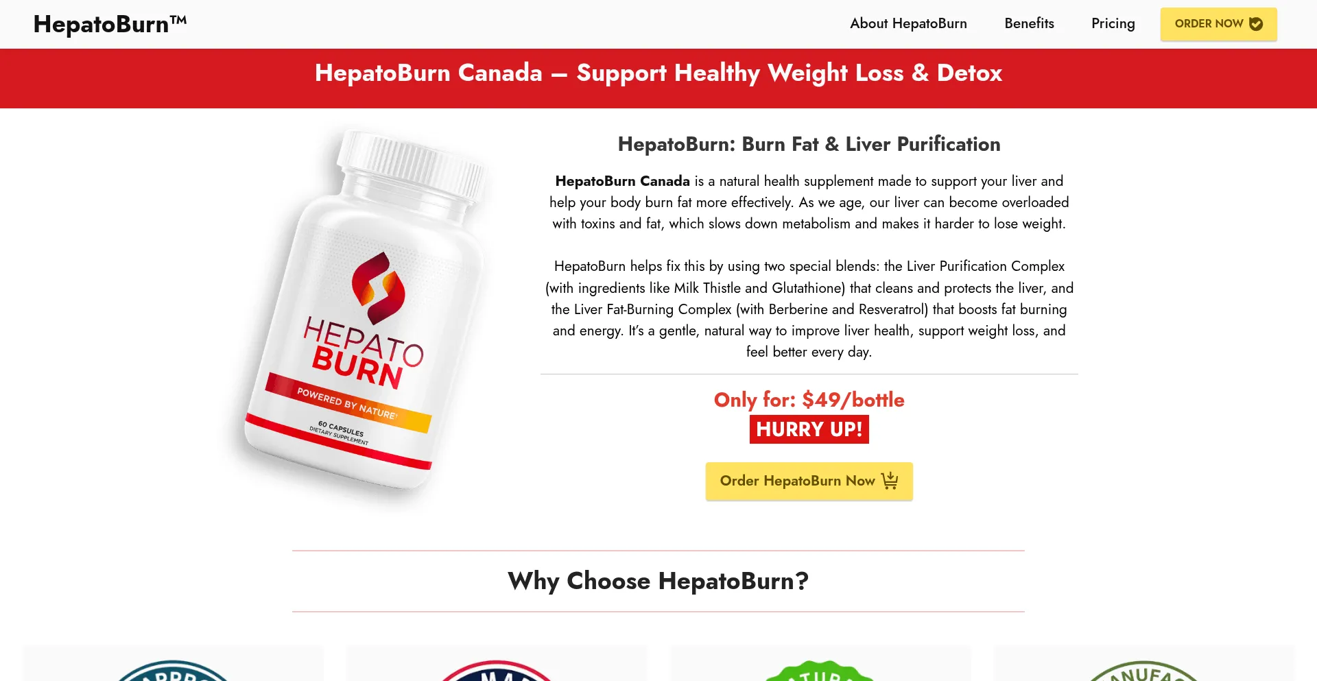 Website screenshot of En-hepatoburn.ca