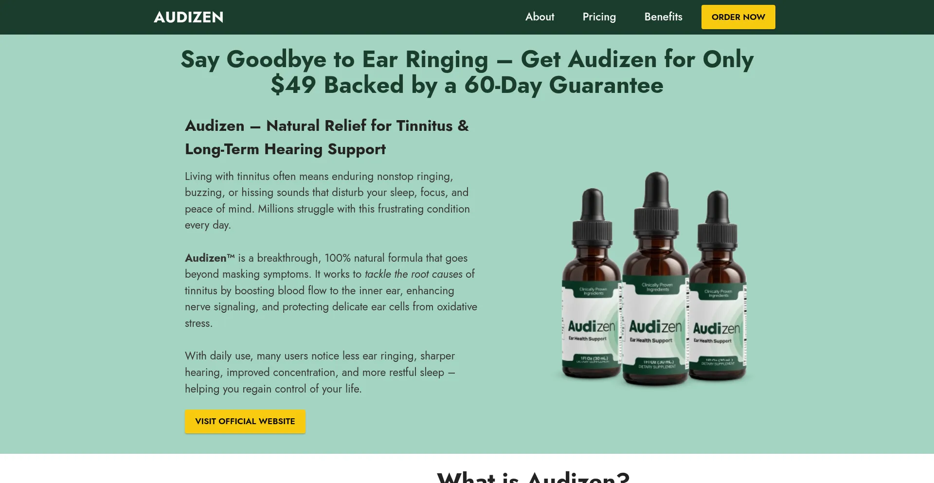 En-us-audizenn.com