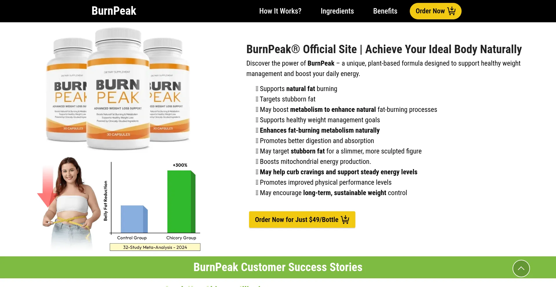 En-us-en-burnpeak.com é Seguro e Confiável?