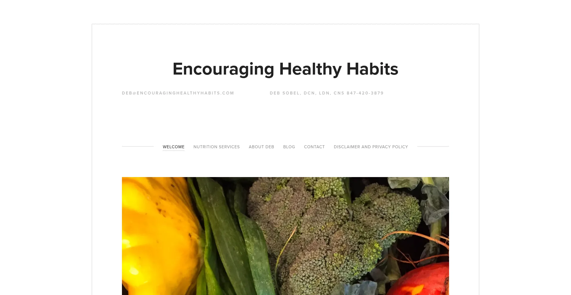 Website screenshot of Encouraginghealthyhabits.com