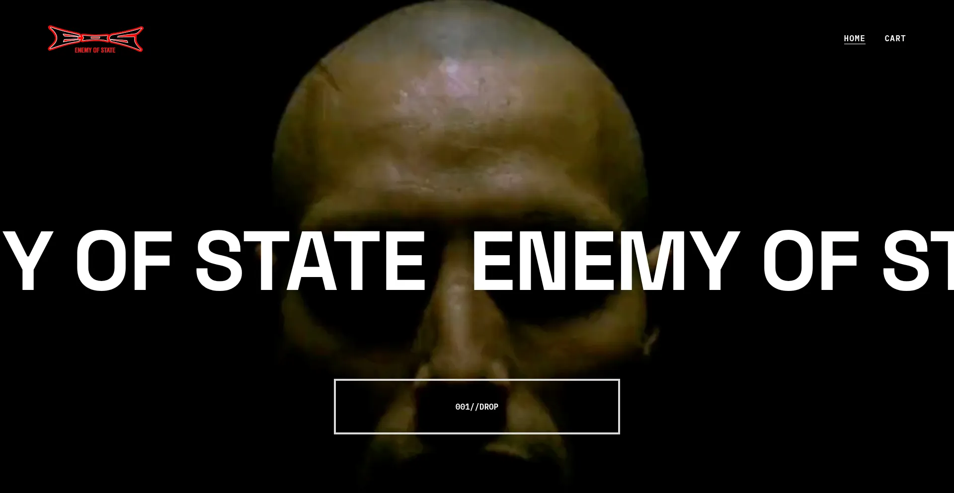 Enemyofstate.store