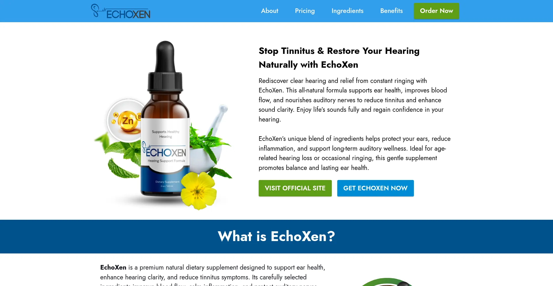 Eng--us-echoxen.com